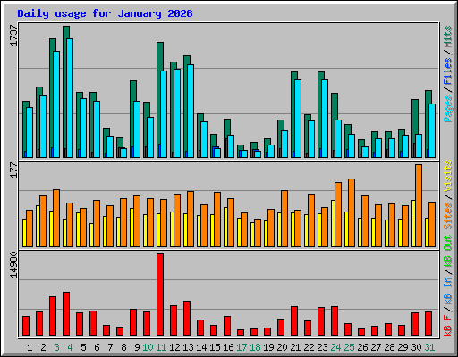 Daily usage for January 2026