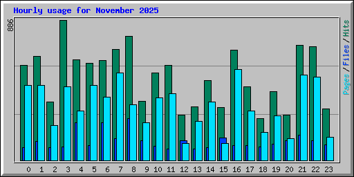 Hourly usage for November 2025