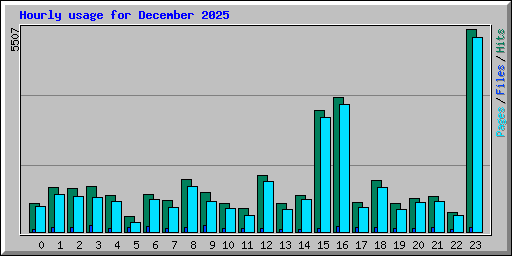 Hourly usage for December 2025